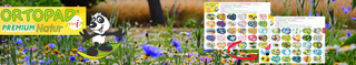 Kopfgrafik Seite ORTOPAD® mix PREMIUM Natur Blumenwiese mit Pflasterübersicht