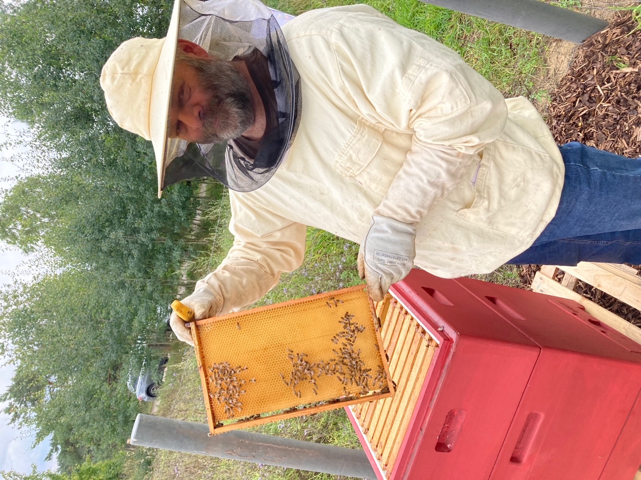 Imker mit Bienenstock bei der Arbeit auf der ORTOPAD Blühwiese